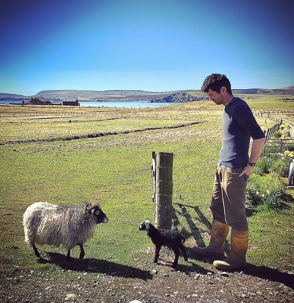 Chris Dyer, owner of Garths Croft Bressay in Shetland, in the field with his lambs