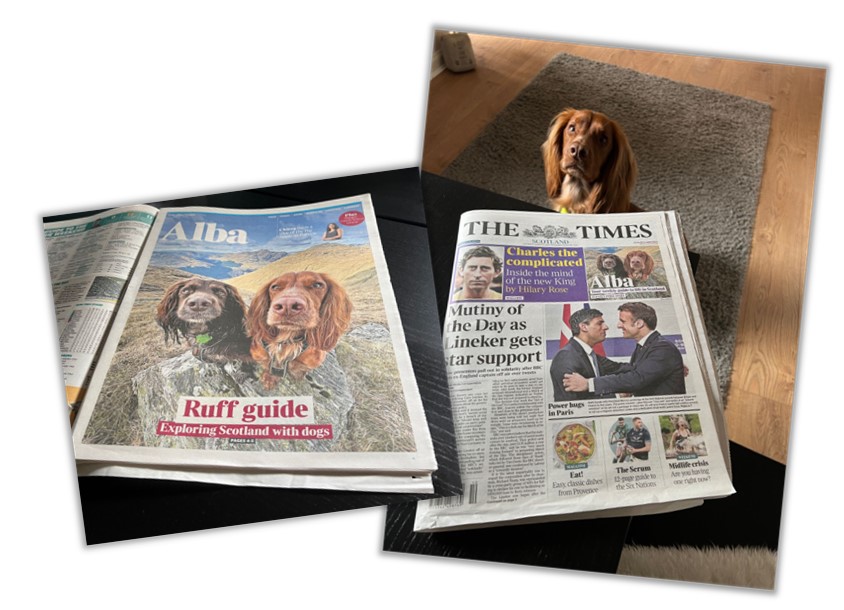 image showing a newspaper and a dog