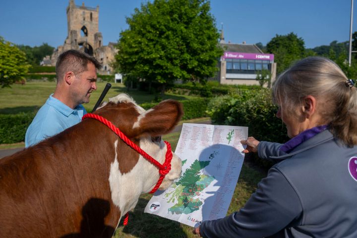 Go Rural Map with cow