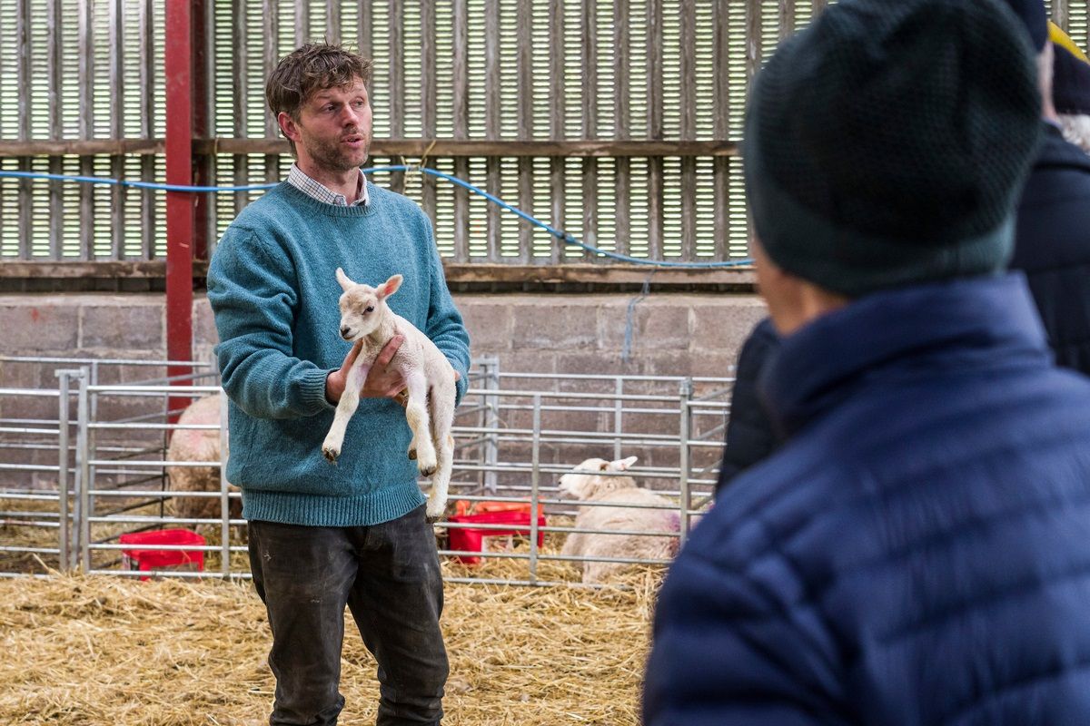 A man presents a lamb to a group at the Old Leckie Farm