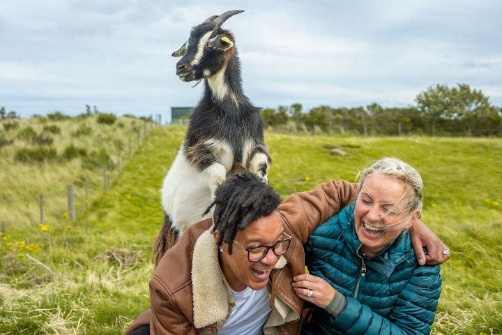 People having a fun encounter with a goat at Lunan Bay Farm. VisitScotland / Luigi Di Pasquale ©