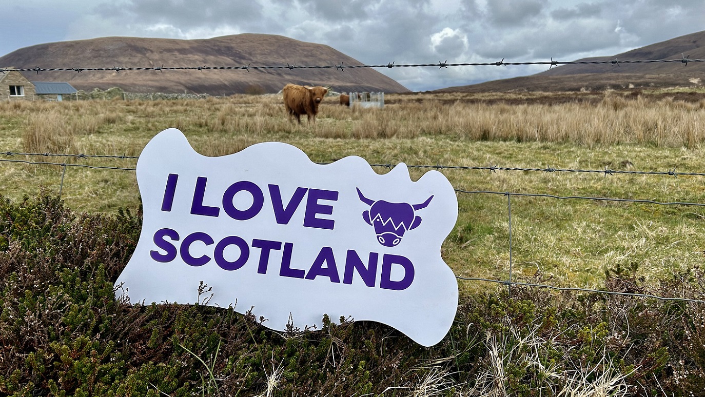 Image of a sign thats reads "i love Scotland" with a Highland Cow in the background
