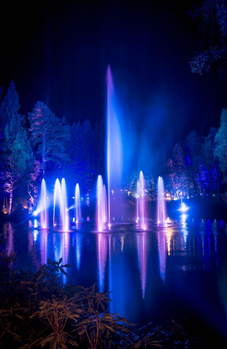 Water feature and light show within a forest
