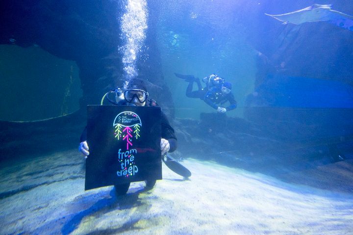 Diver at Deep Sea World