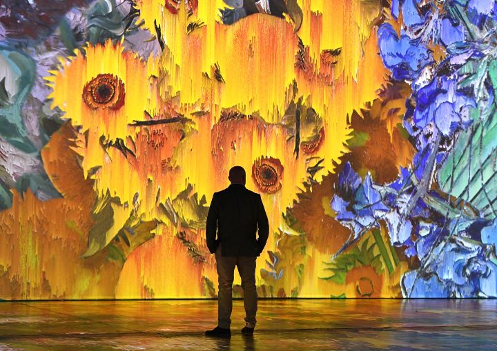 Man, named Bill Elms, looking towards wall, which is illuminated by Van Gogh's famous Sunflowers. Credit Andy Teebay