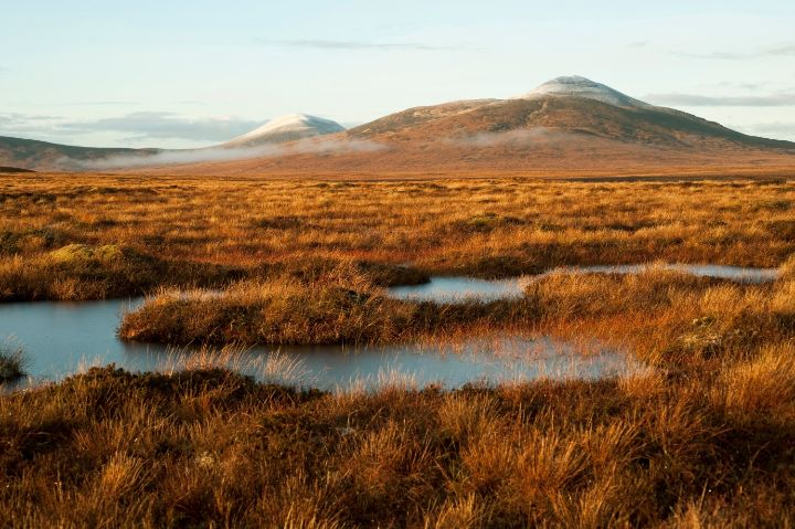 Forsinard Flow, part of UNESCO Flow Country