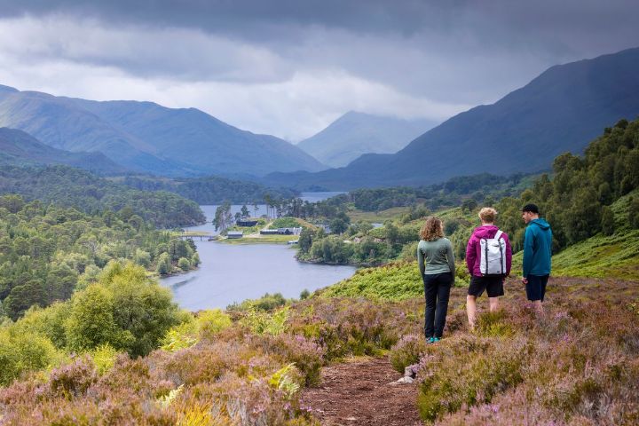 Looking out over Loch Affric from the surrounding hills.