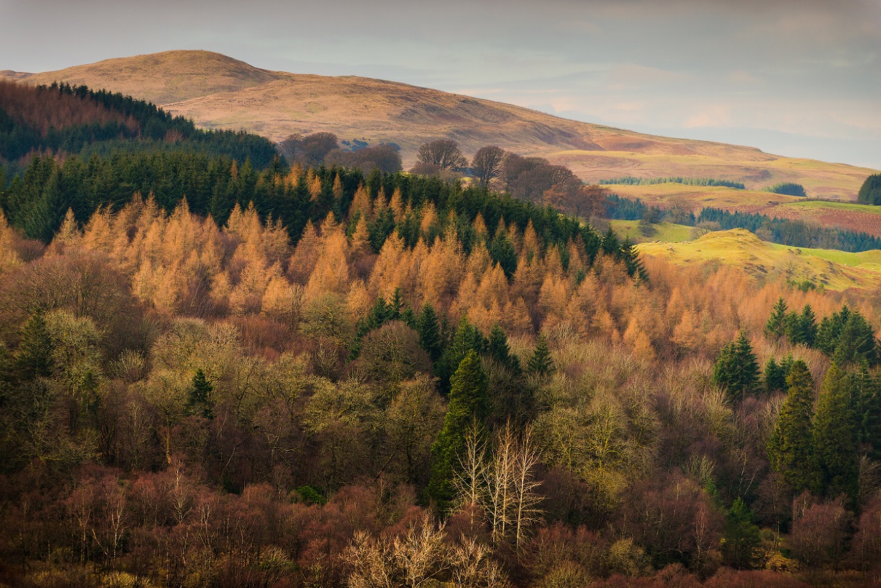 Join the Ayrshire & Arran Tourism Conference News