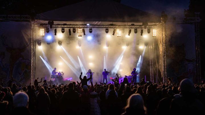 Crowd at a festival at night