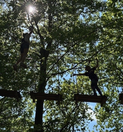 A silhouette of someone on walking across wooden beams on a treetop adventure course with trees behind them and the sun shining through the trees.