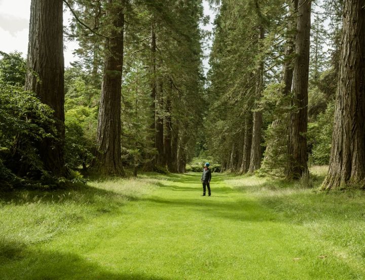 Benmore Botanic Gardens