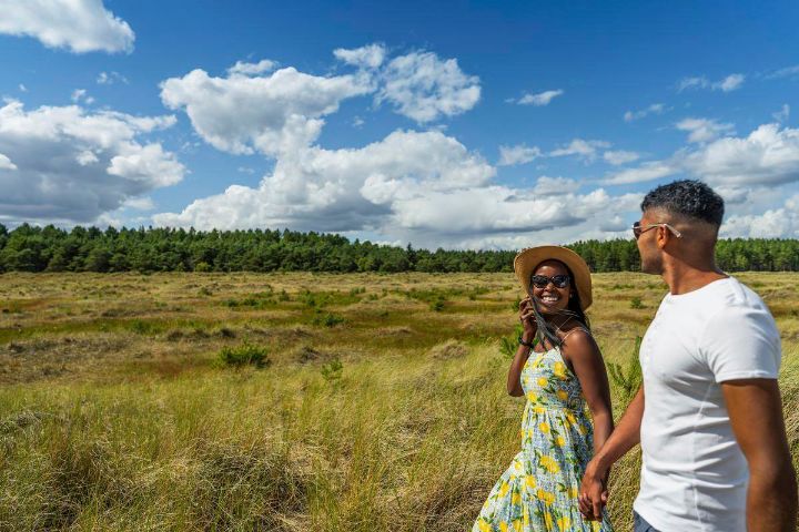 Tentsmuir