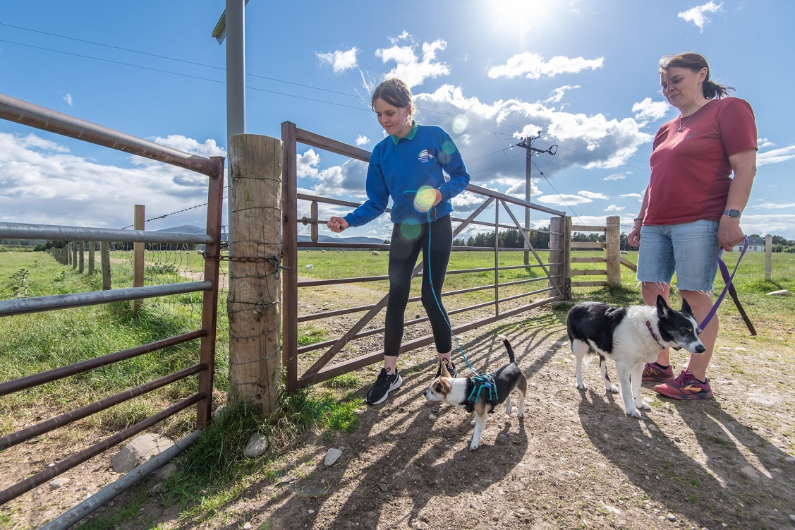 Visitors responsibly enjoy the Scottish countryside with their dogs.