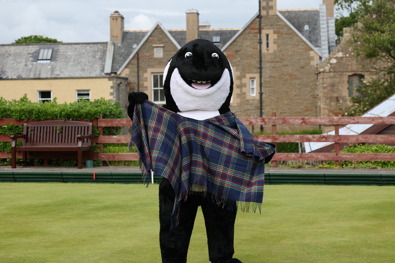 Personal in orca costume holding a piece of tartan