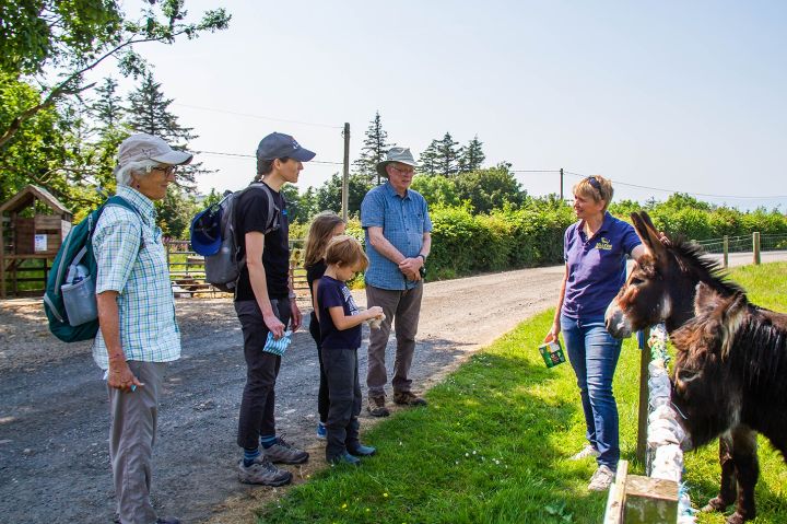 Bellvue Farm tours