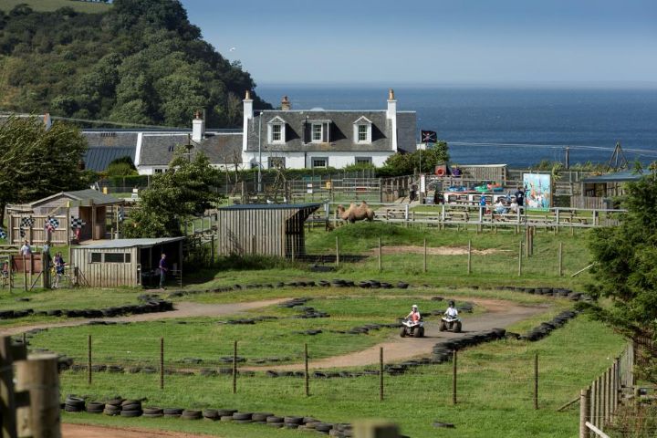 Heads of Ayr Farm Park