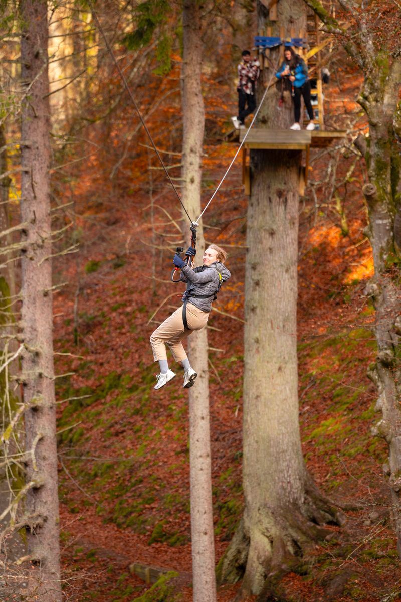 a person on a zip wire in a forest at autumn