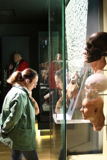The Trimontium museum